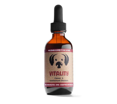 Vitality by MycoDog Mushroom Extract & Adaptogen Tincture