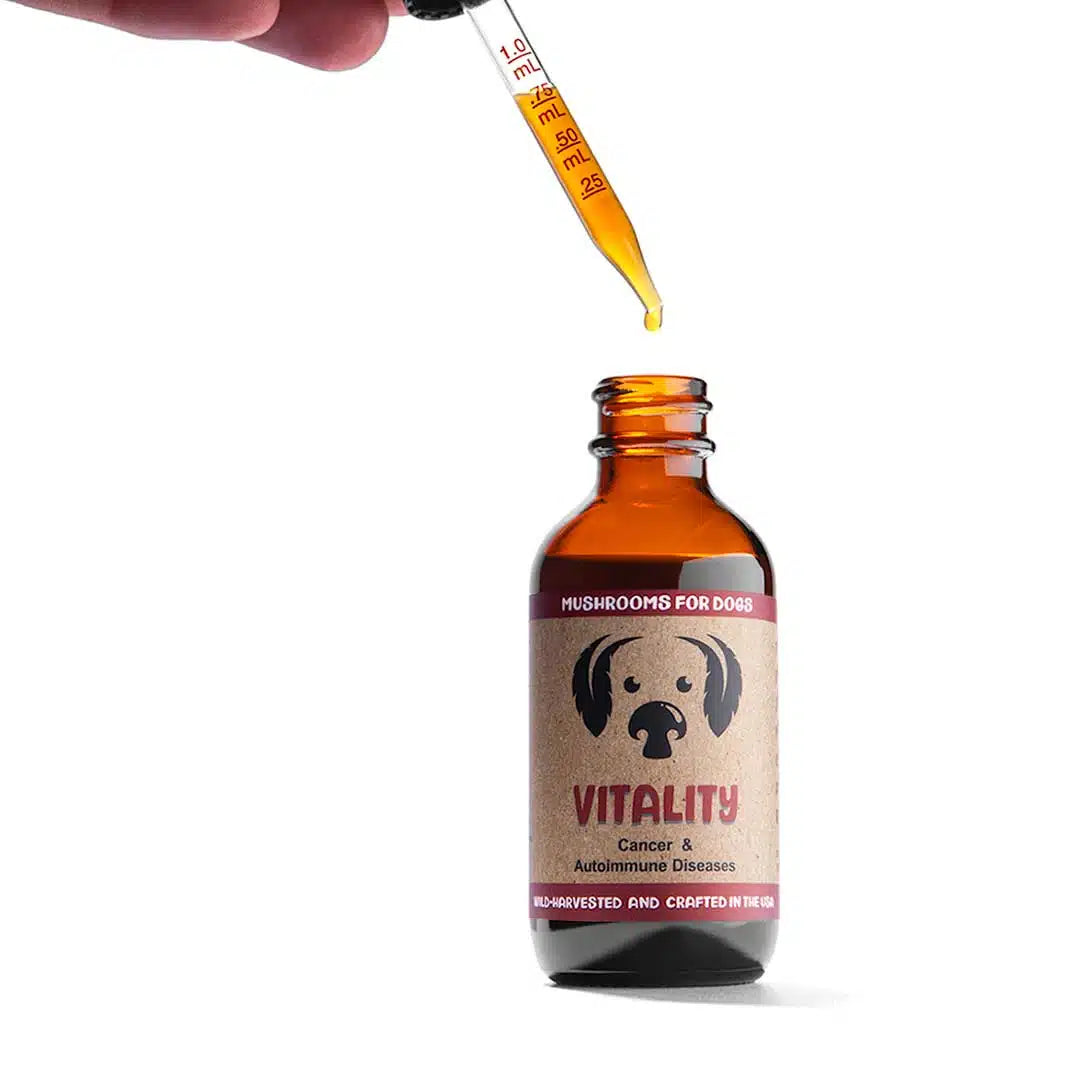 Vitality by MycoDog Mushroom Extract & Adaptogen Tincture