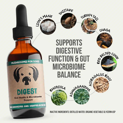 Digest by MycoDog Mushroom Extract &amp; Adaptogen Tincture