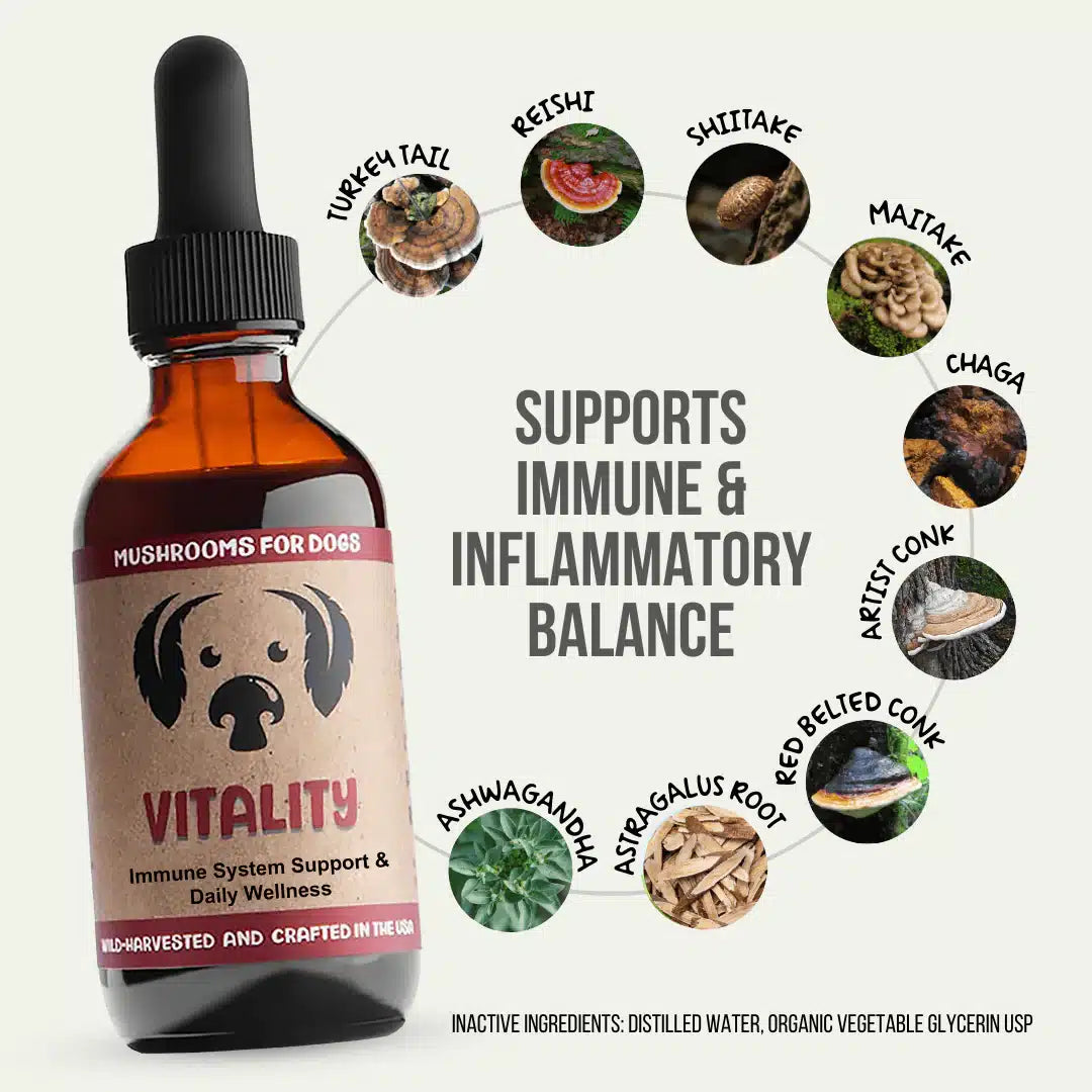 Vitality by MycoDog Mushroom Extract &amp; Adaptogen Tincture