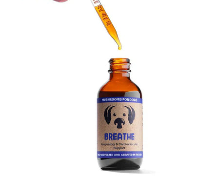 Breathe by MycoDog Mushroom Extract & Adaptogen Tincture
