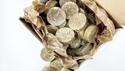 Solutions Pet Beef Recipe