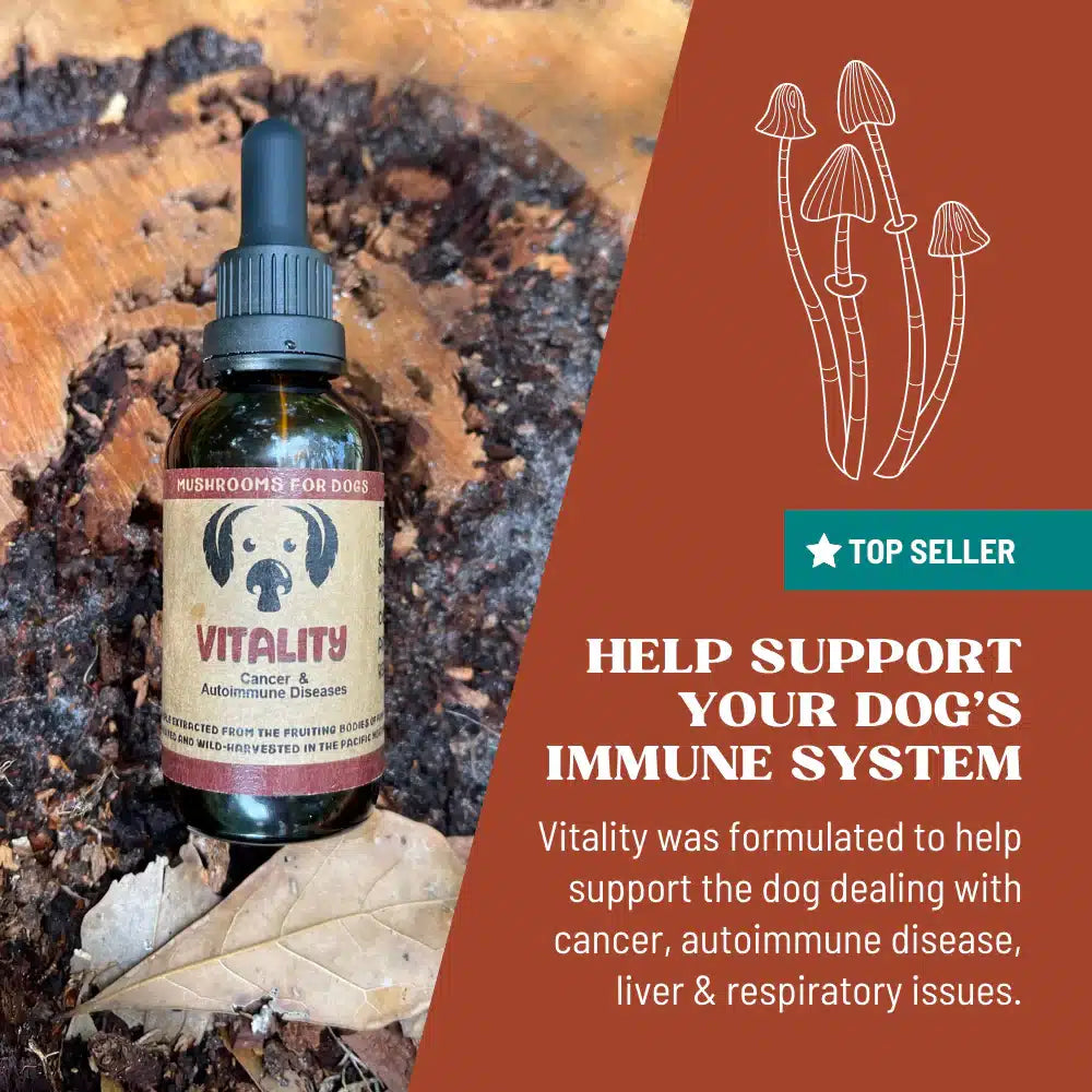 Vitality by MycoDog Mushroom Extract & Adaptogen Tincture