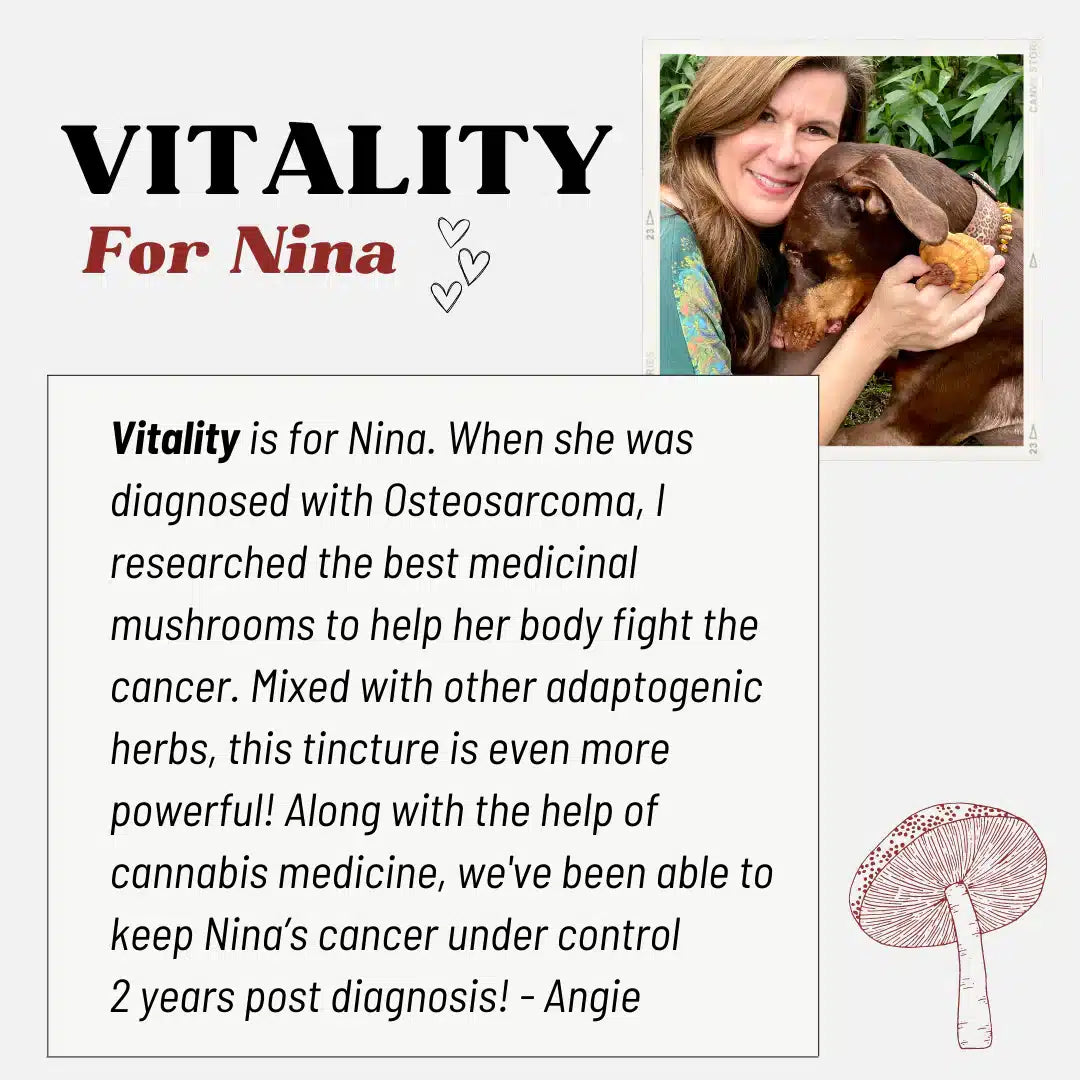 Vitality by MycoDog Mushroom Extract & Adaptogen Tincture