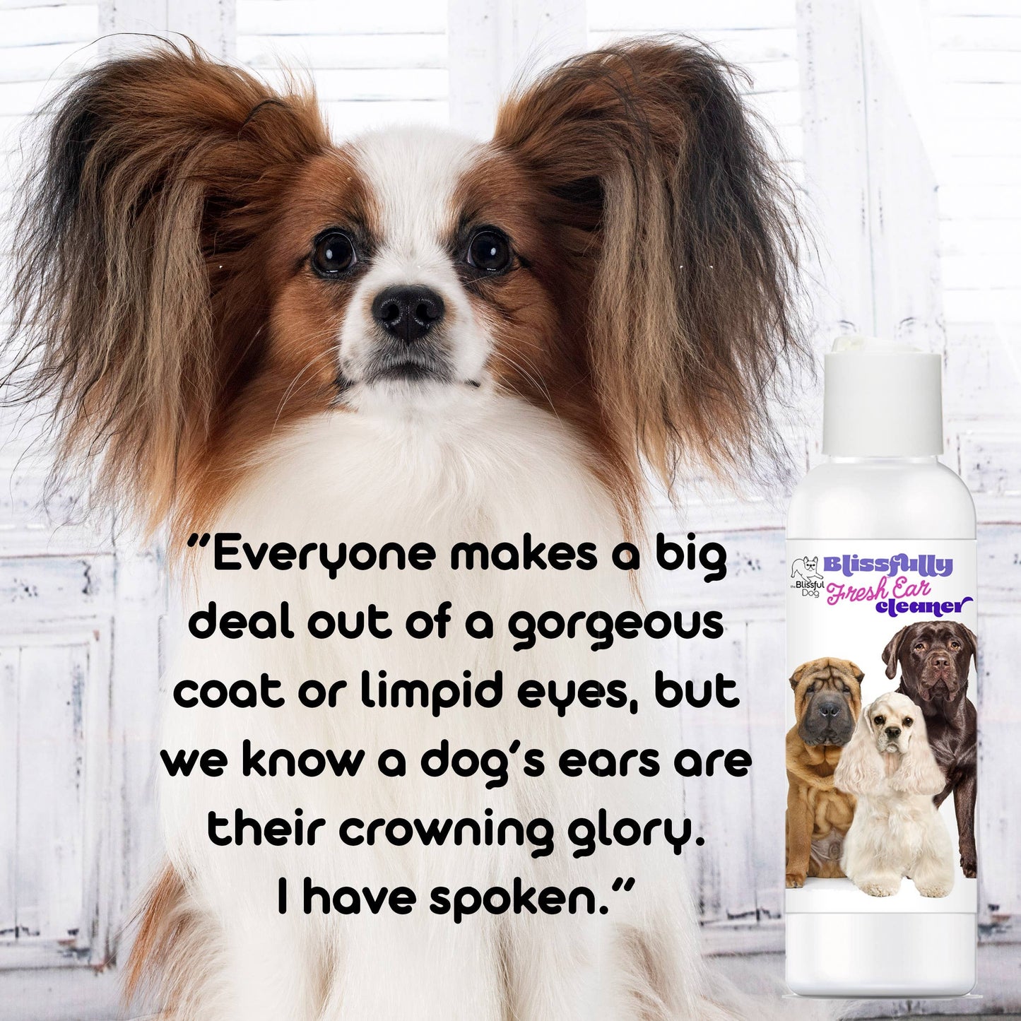 The Blissful Dog - Blissfully Fresh Dog Ear Cleaner in 4, 8, 16 oz: 16 oz