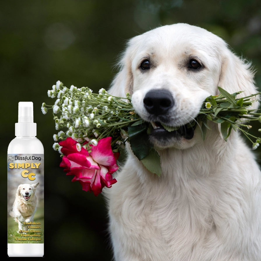 Simply Cc Dog Cologne | Classic Clean Crisp
