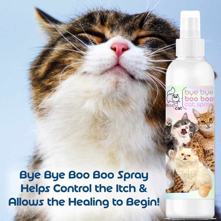 The Blissful Cat Boo Boo Spray