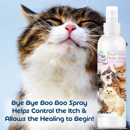 The Blissful Cat Boo Boo Spray