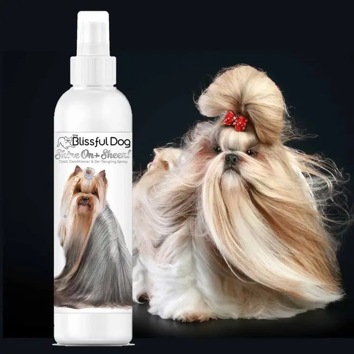 Shine On+Sheen Canine Conditioner & Coat Polish