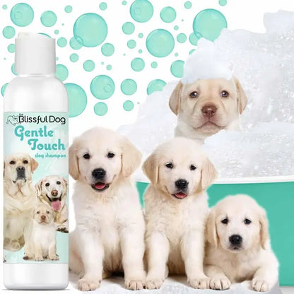 The Blissful Dog Shampoo Combo Kit, Set of 3 with Towel