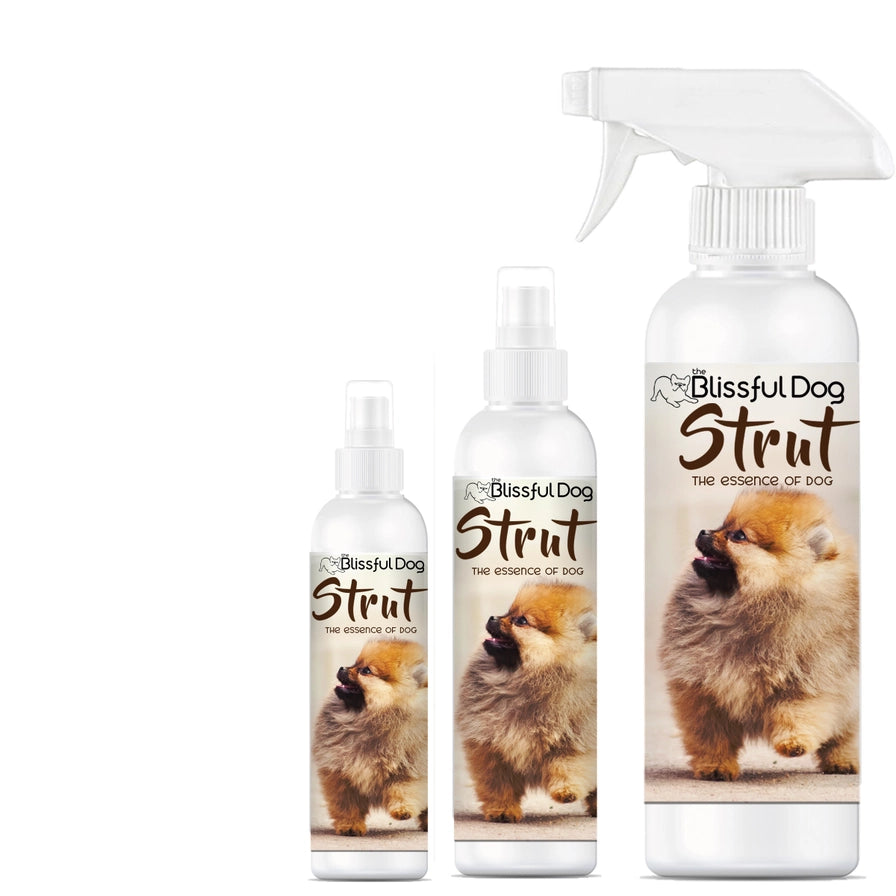 Strut Dog Cologne | Sniffing Irresistable 4,8,16 oz