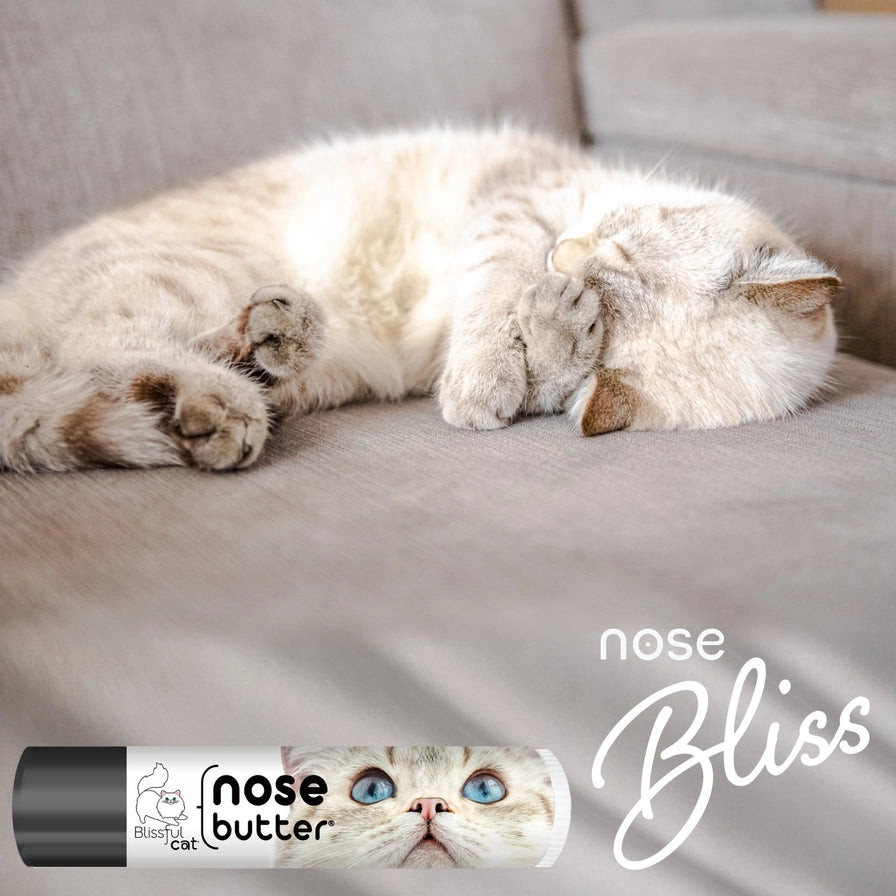 The Blissful Cat Nose Butter