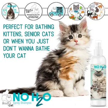 The Blissful Cat No H20 Spray Shampoo