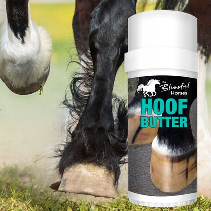 The Blissful Horses Gift Box - Boo Boo, Hoof and Bug Butters