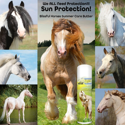 The Blissful Horses Summer Care Butter in Tins &amp; Tubes