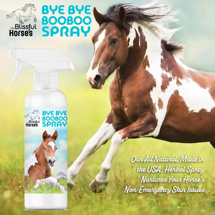 The Blissful Horses Bye Bye Boo Boo Spray - 16 Ounce