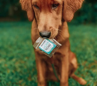 Farm Hounds - Complimentary Samples