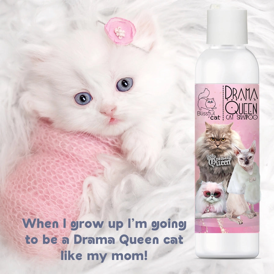 The Blissful Cat Drama Queen Shampoo