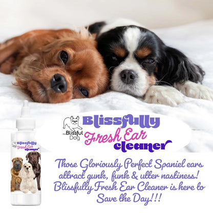 The Blissful Dog Shampoo Combo Kit, Set of 3 with Towel