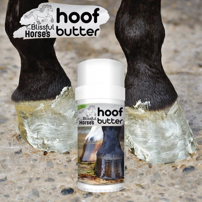 The Blissful Horses Moisturizing Hoof Butter in Tins &amp; Tubes