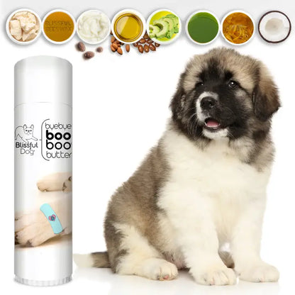 Boo Boo Butter For Minor Skin Issues