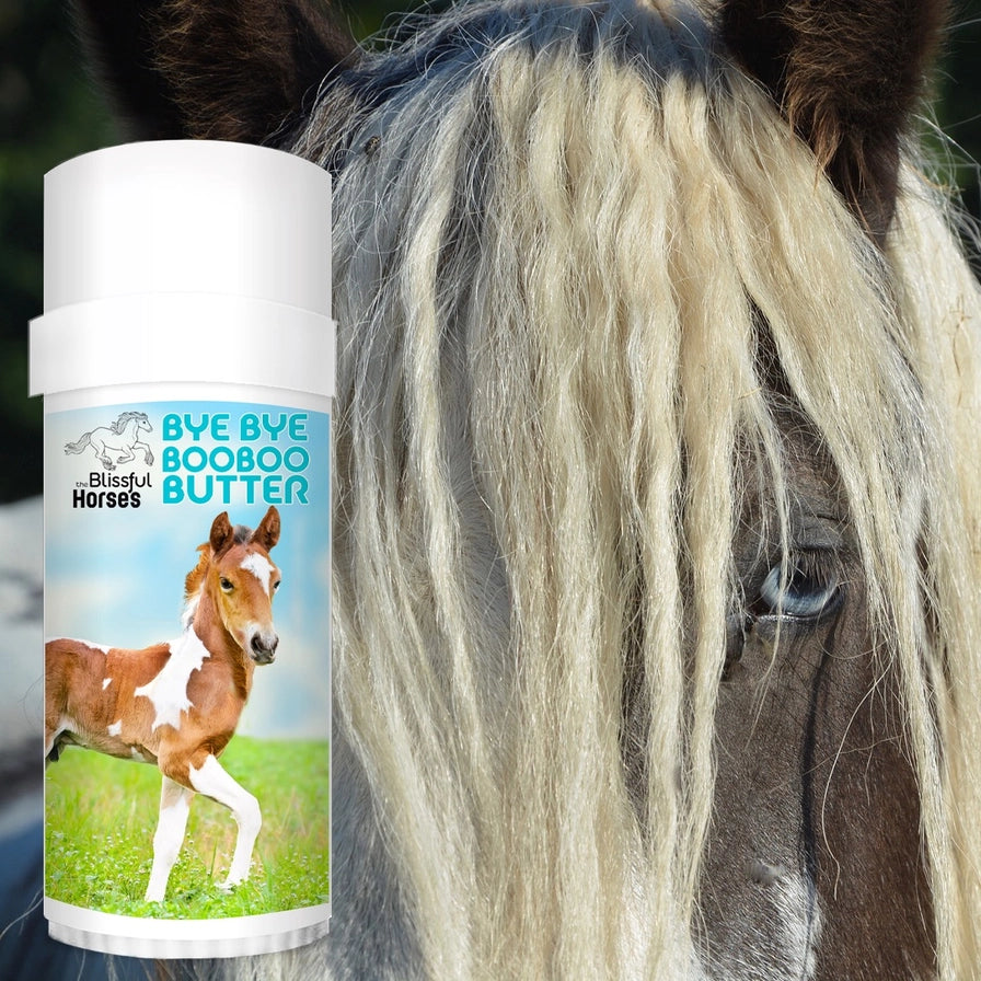 The Blissful Horses Boo Boo Butter in Tins &amp; Tubes