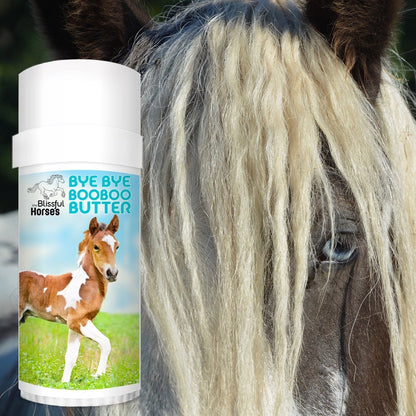 The Blissful Horses Boo Boo Butter in Tins &amp; Tubes