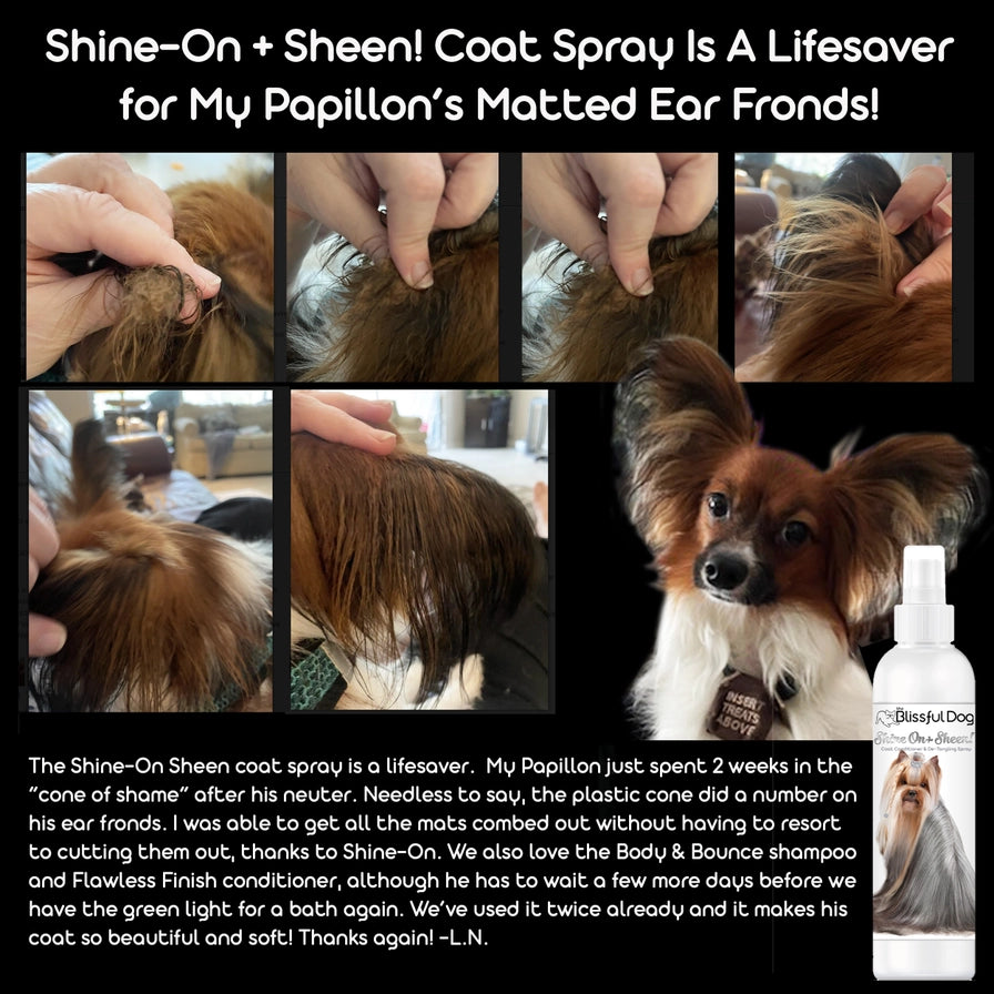 Shine On+Sheen Coat Spray Leave-in Conditioner Gallon