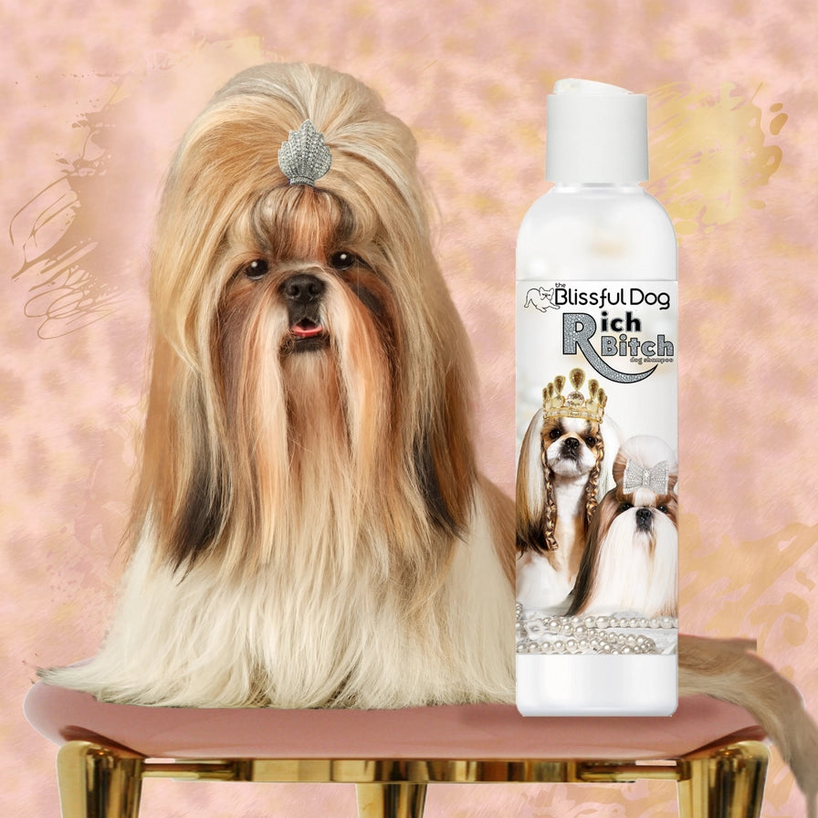 Rich Bitch Dog Shampoo in Gallon