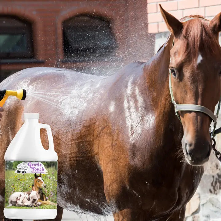 The Blissful Horses Gentle Touch Shampoo - 1 Gallon