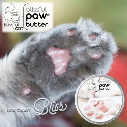 The Blissful Cat Paw Butter
