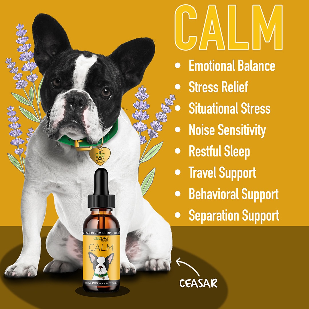 Calm Original Strength - For Dogs