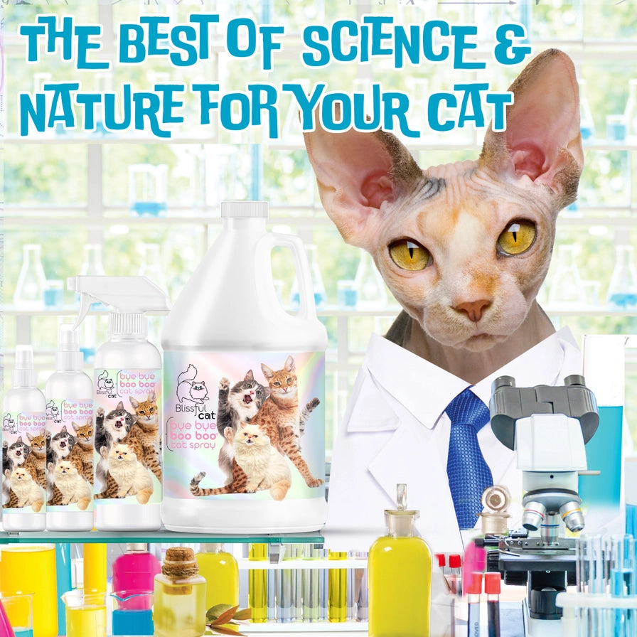 The Blissful Cat Boo Boo Spray