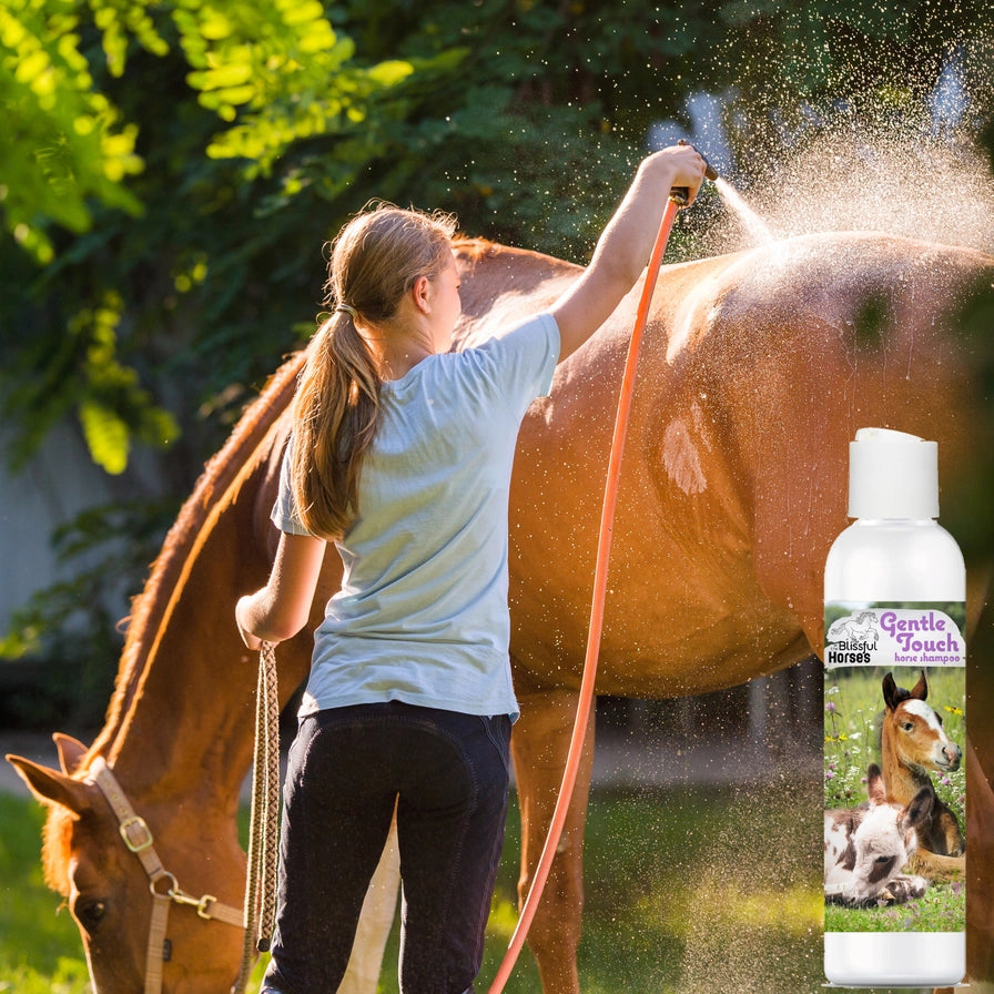 The Blissful Horses Gentle Touch Shampoo - 16 Ounce
