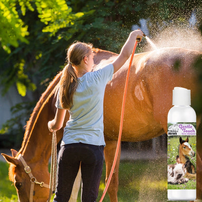 The Blissful Horses Gentle Touch Shampoo - 16 Ounce