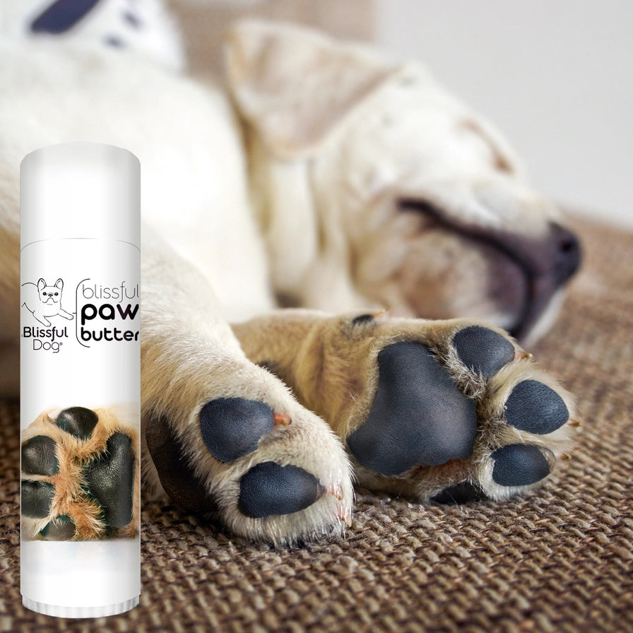 Paw Butter For Rough, Dry Dog Paws in Tins & Tubes, Paw Balm