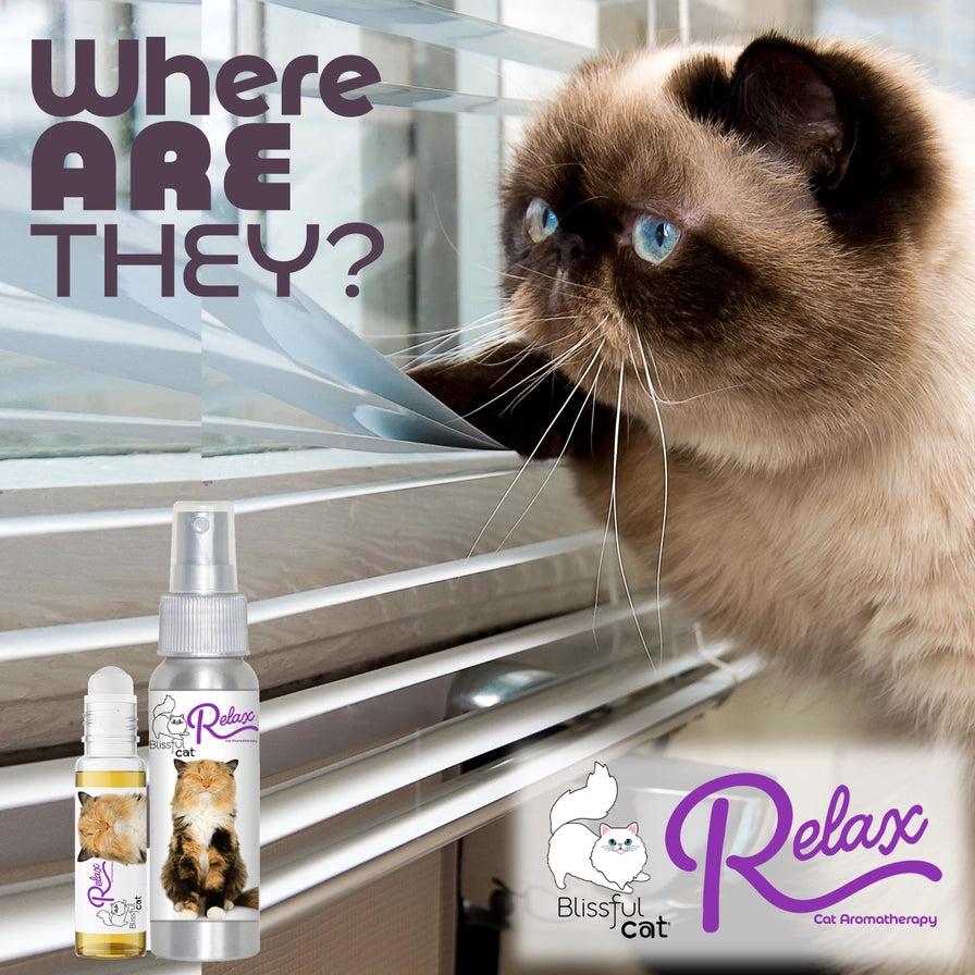 The Blissful Cat Relax Aromatherapy Spray &amp; Roll-On