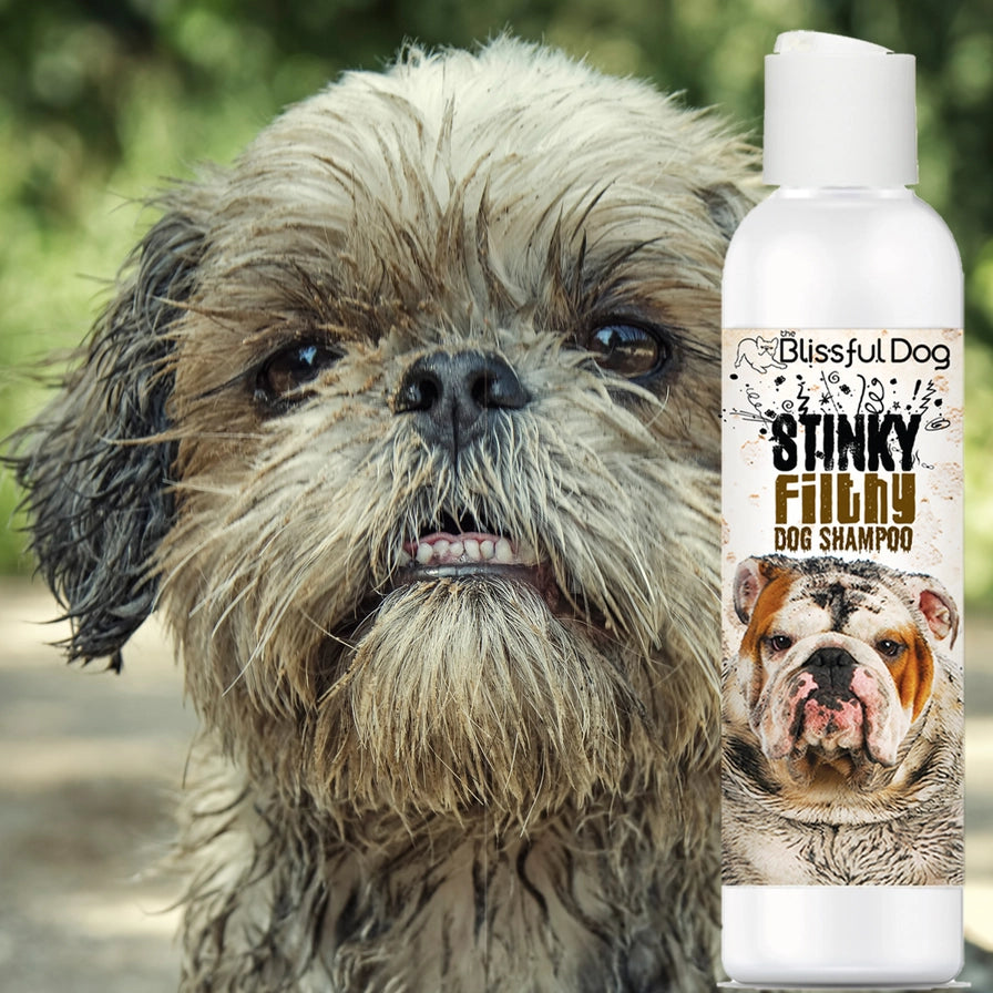Stinky Filthy Dog Shampoo for Your Filthy Animal of a Dog