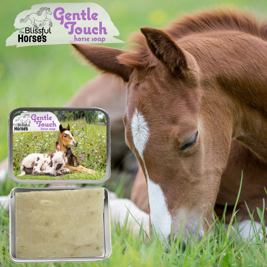The Blissful Horses Gentle Touch Shampoo - 16 Ounce