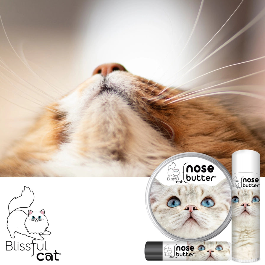 The Blissful Cat Nose Butter