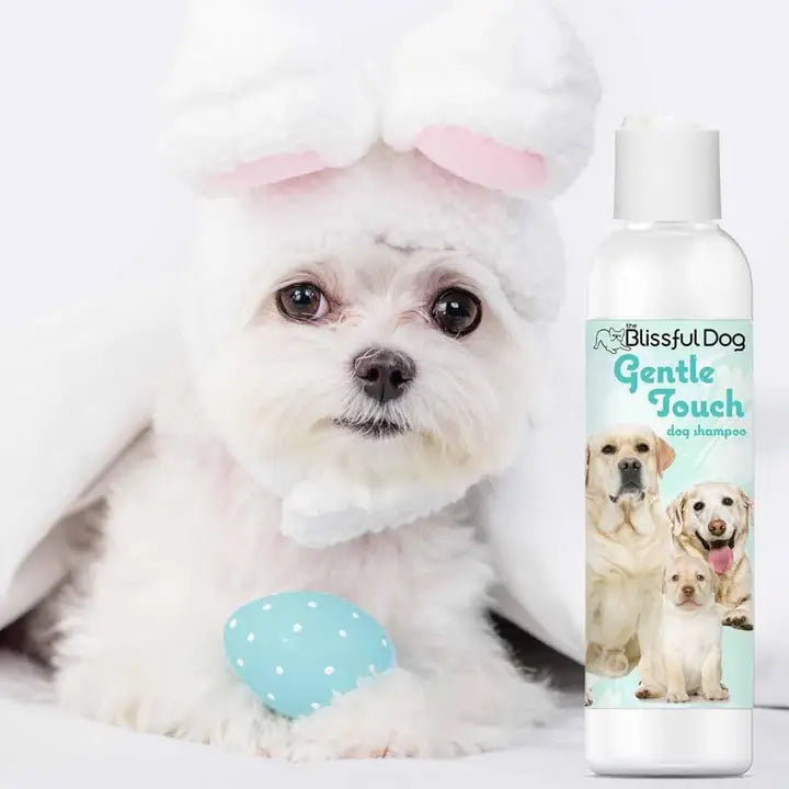 The Blissful Dog Shampoo Combo Kit, Set of 3 with Towel