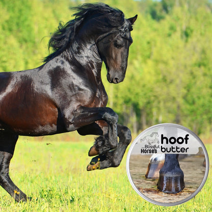 The Blissful Horses Moisturizing Hoof Butter in Tins &amp; Tubes