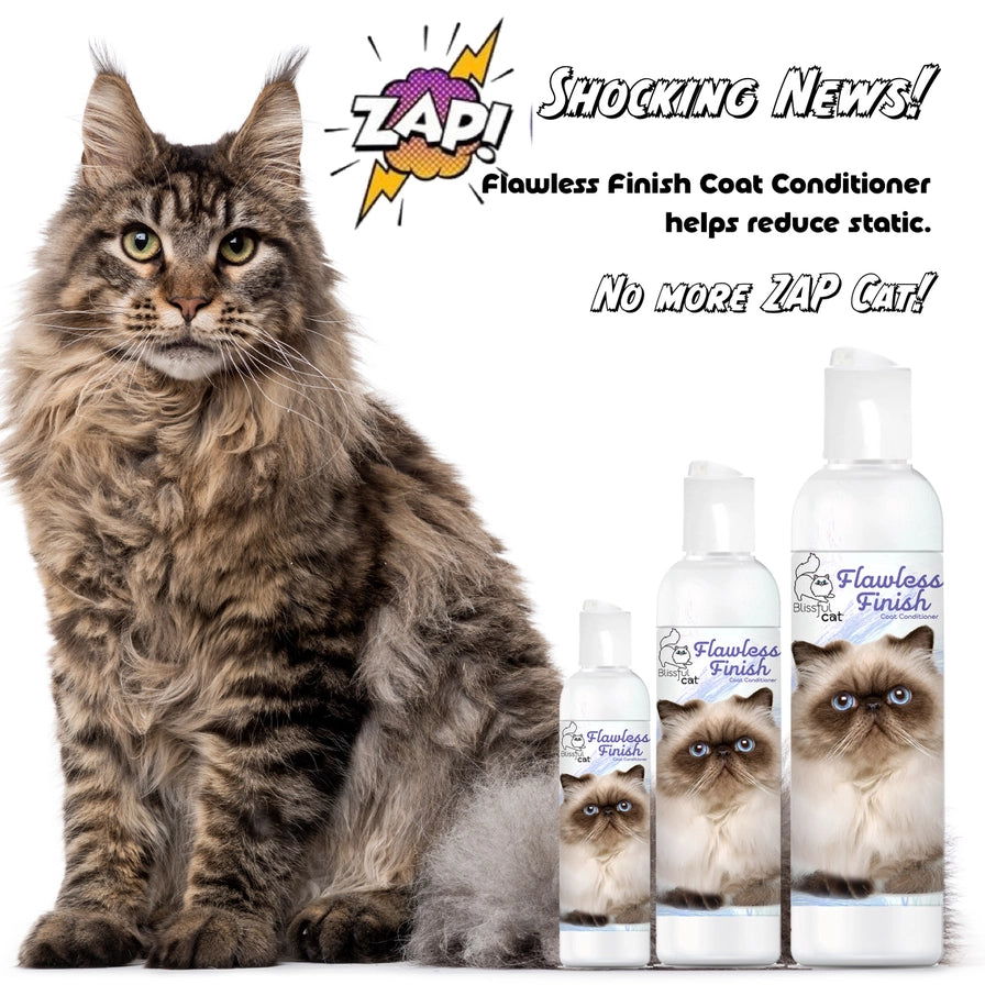 The Blissful Cat Flawless Finish Conditioner