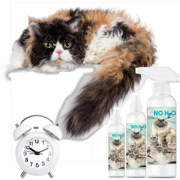 The Blissful Cat No H20 Spray Shampoo