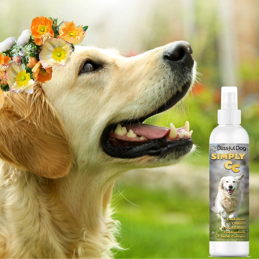 Simply Cc Dog Cologne | Classic Clean Crisp