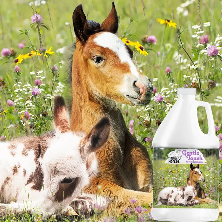 The Blissful Horses Gentle Touch Shampoo - 1 Gallon