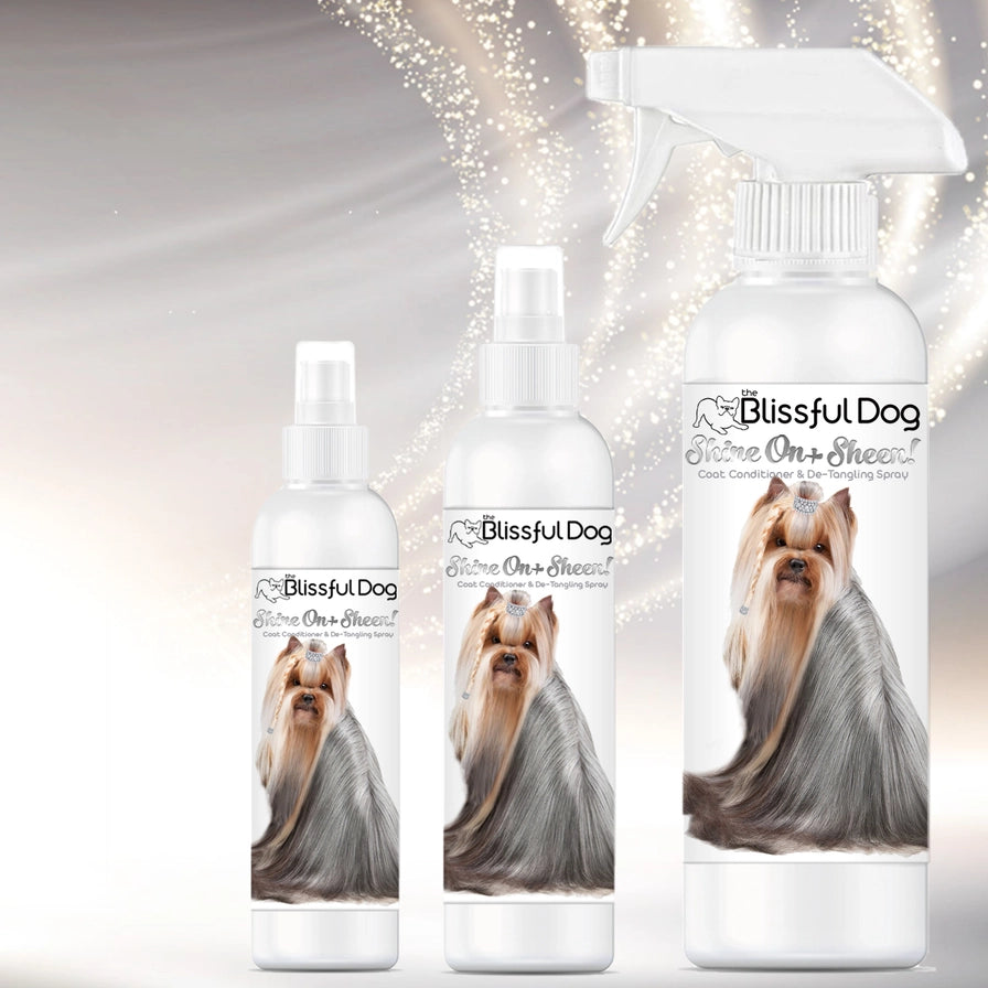 Shine On+Sheen Coat Spray Leave-in Conditioner Gallon