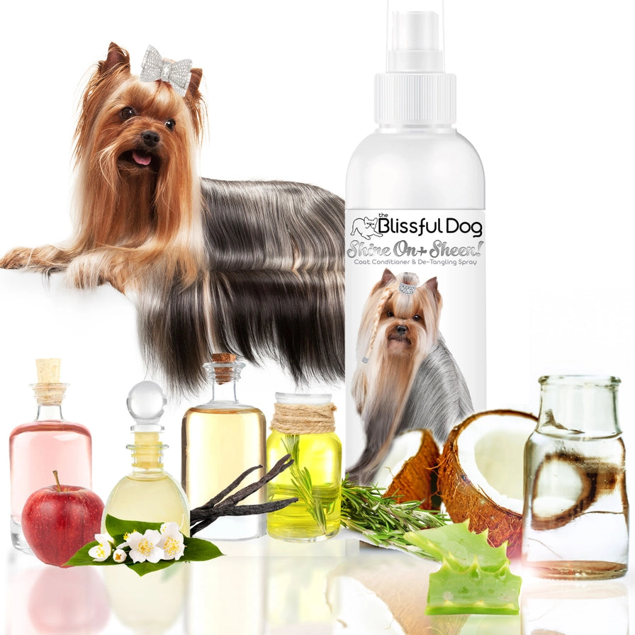 Shine On+Sheen Canine Conditioner & Coat Polish