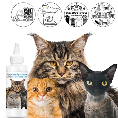 The Blissful Cat Shampoo Combo Kit, Set of 3 with Towel