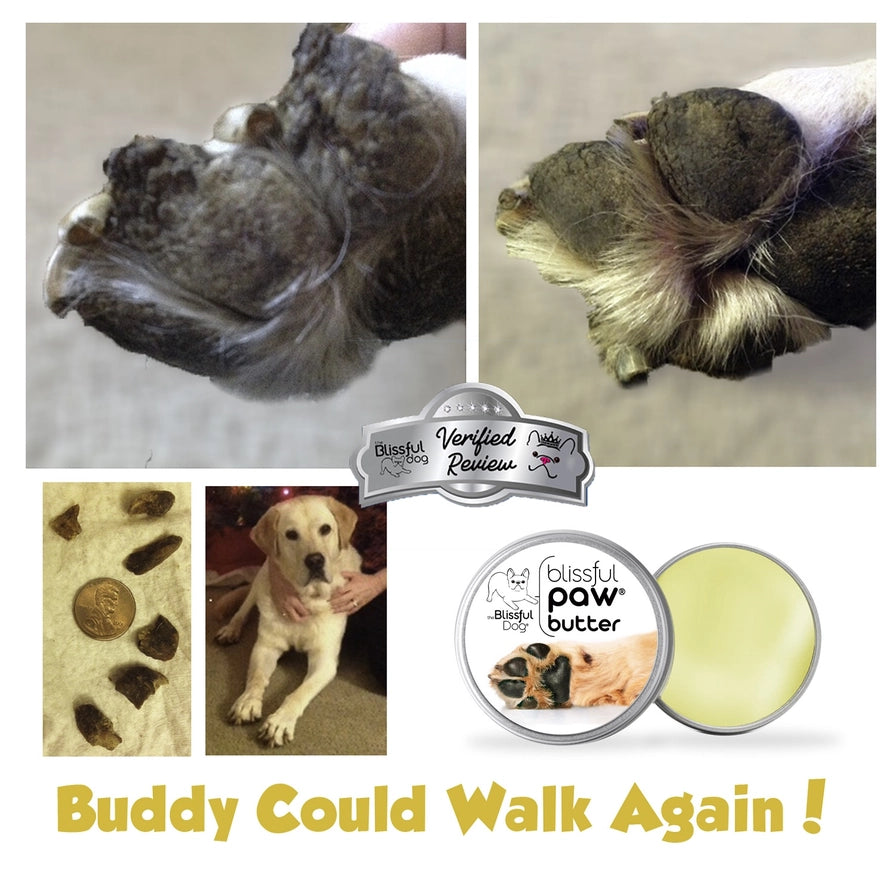 Paw Butter For Rough, Dry Dog Paws in Tins & Tubes, Paw Balm